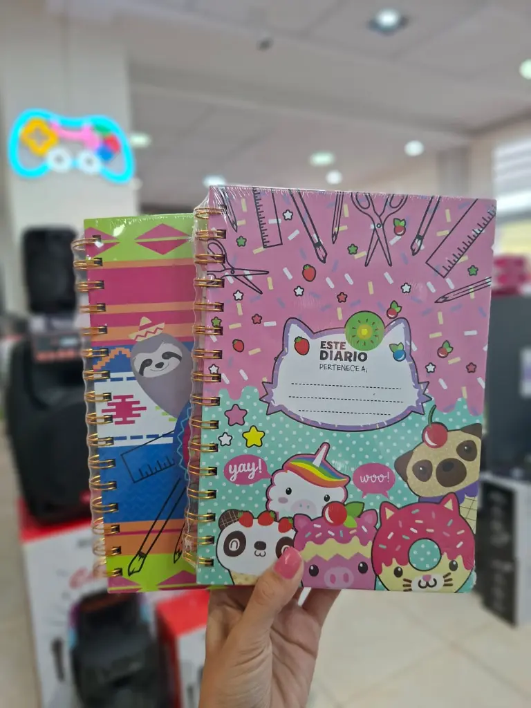 WhatsApp Image 2026-02-13 at 15.53.12.webp