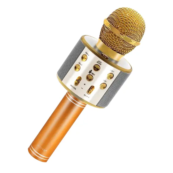 MICROFONO BT KARAOKE 585/858