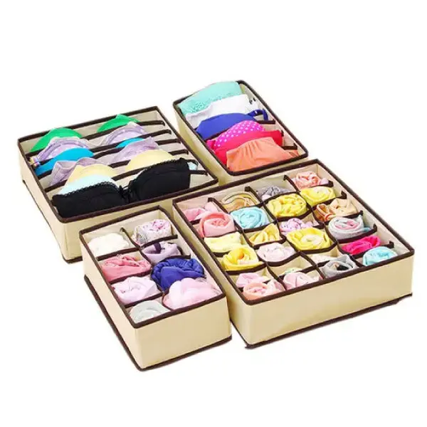 ORGANIZADOR DE ROPA INTERIOR GADNIC 01