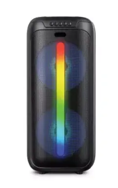 PARLANTE VALIJA QL-8847 2X8"