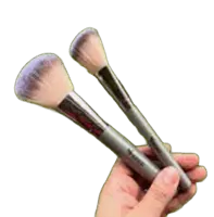 SET DE BROCHAS 30052