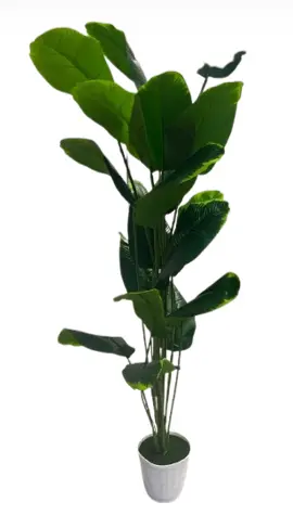 PLANTA ARTIFICIAL SEMIL CALATHEA  LMT028