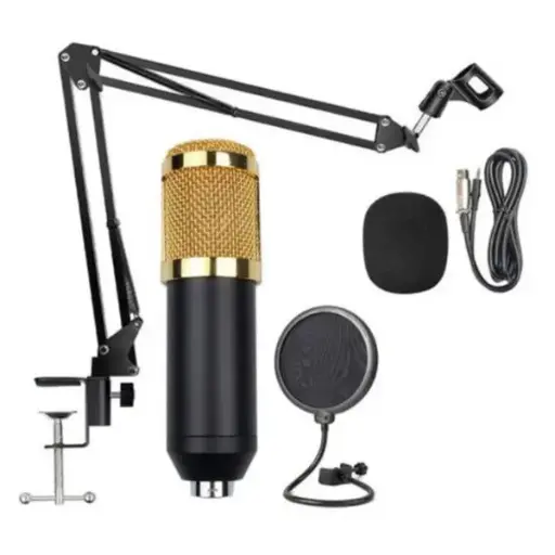 [987823] MICROFONO CONDENSER KIT PROFESIONAL 31003