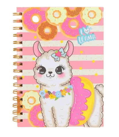 LIBRETA BB20272